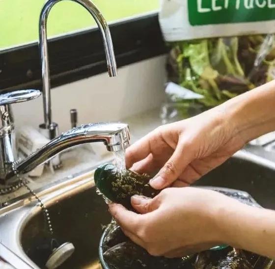 房车旅居游,房车逃离野外