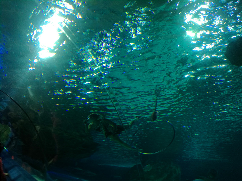 富国海底世界京津冀,游富国海底世界