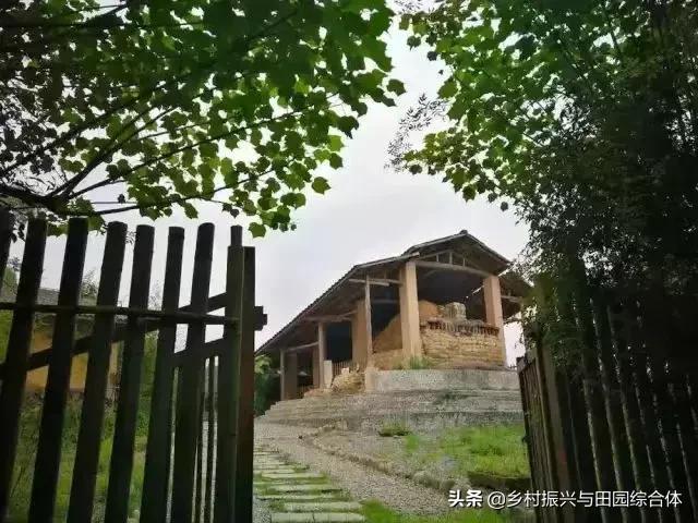 农学院对乡村振兴的促进作用,半农学院