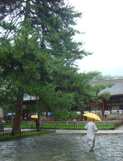 发现母亲与异性聊天你会怎么处理,女儿发现妈妈暧昧信息会怎么办