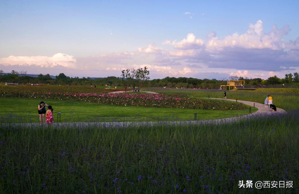 西安公园开放通知最新,西安附近公园免费景点