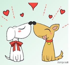 怀孕，仅仅这样？那你就错了