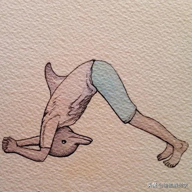 100张户外瑜伽唯美图片,各种动物瑜伽姿势图片