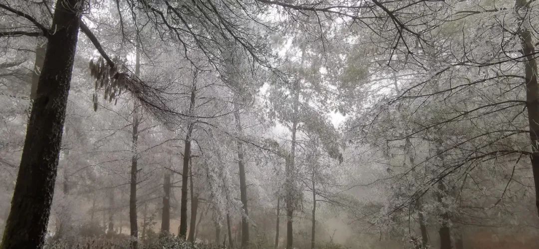 大寒潮小寒潮,寒潮带来大范围降雪