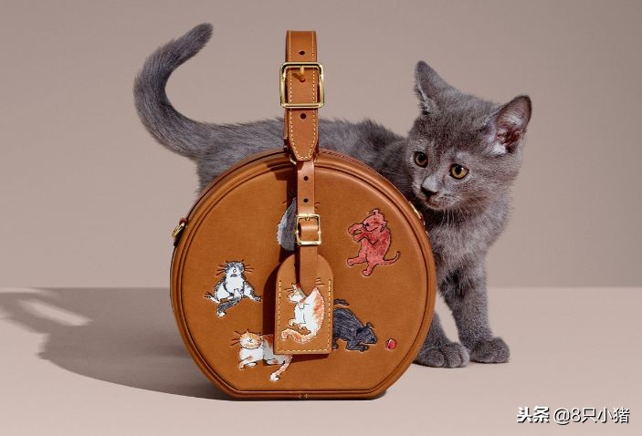 2023年lv哪款最流行,最新款lv在哪里上市