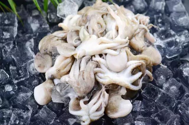 汕尾吃海鲜的正确方式,汕尾人吃海鲜