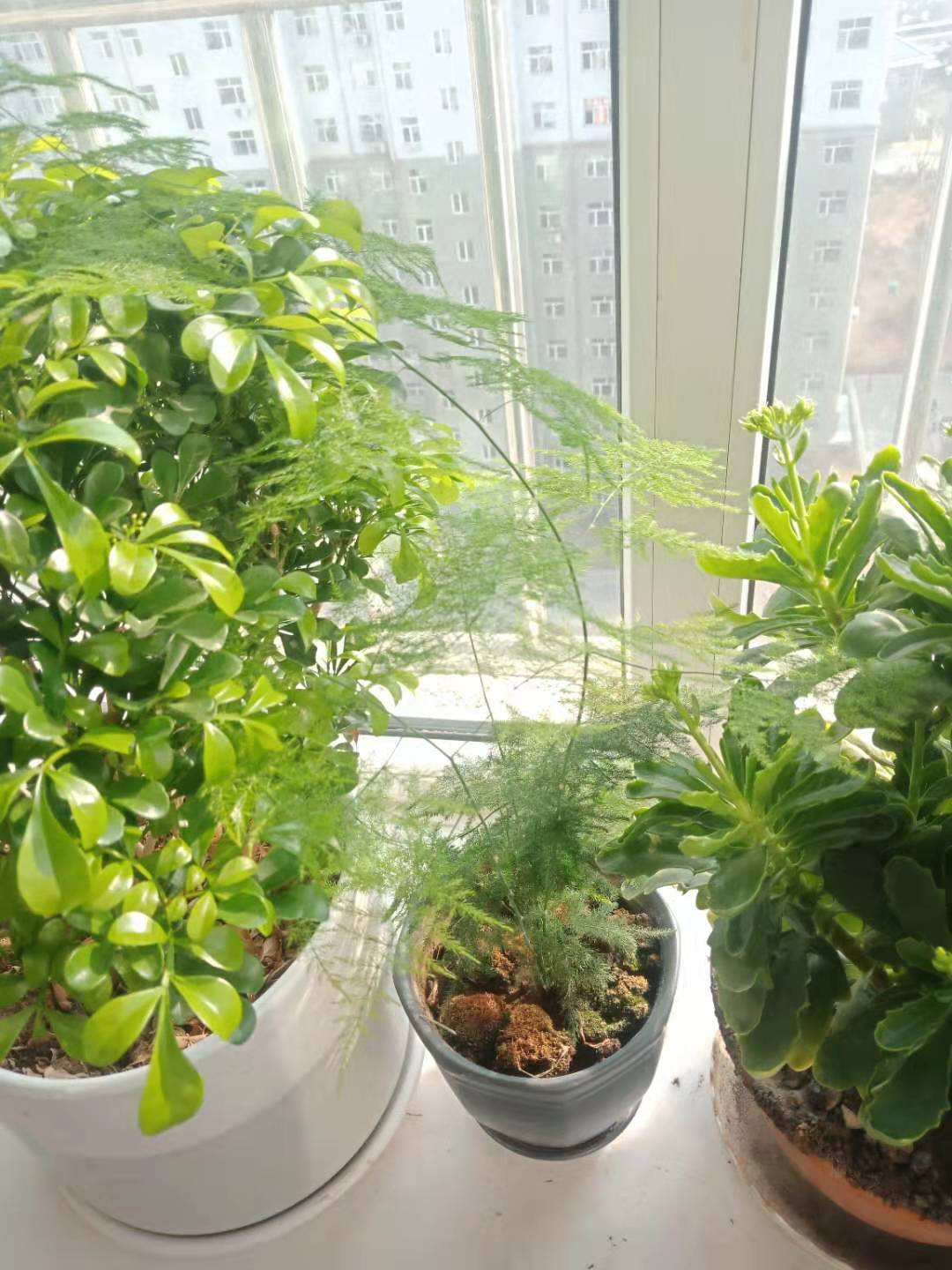 火山小视频的养号与雷区指南，短视频实战解析…