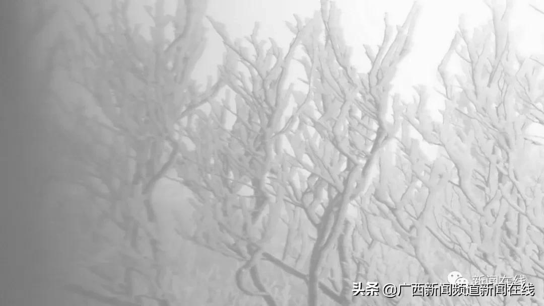 大明山雾凇美景美丽又动人,猫儿山震撼云海风光