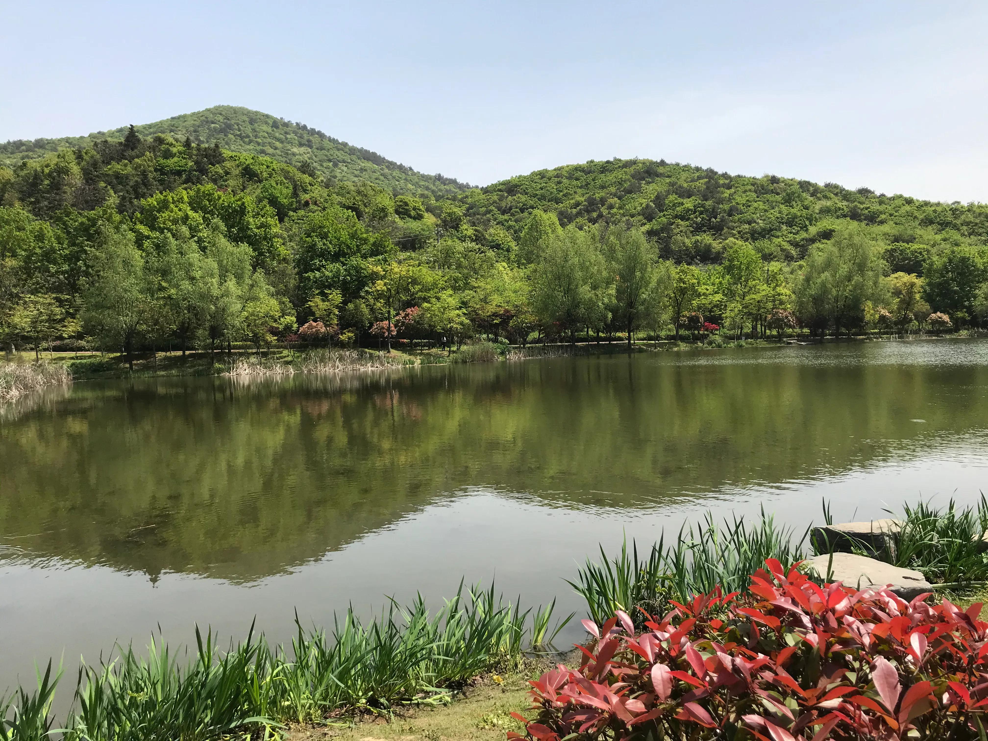 踏青山海秘境,石塘竹海游玩的最佳季节