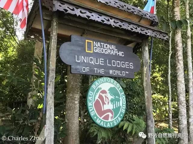 待疫情平息,和孩子一起探索“失落的世界”婆罗洲原始雨林