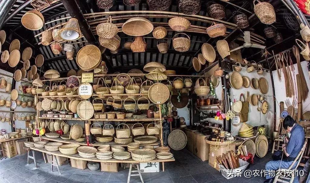 农村适合穷人的18个创业项目利润,农村小本养殖创业项目大全