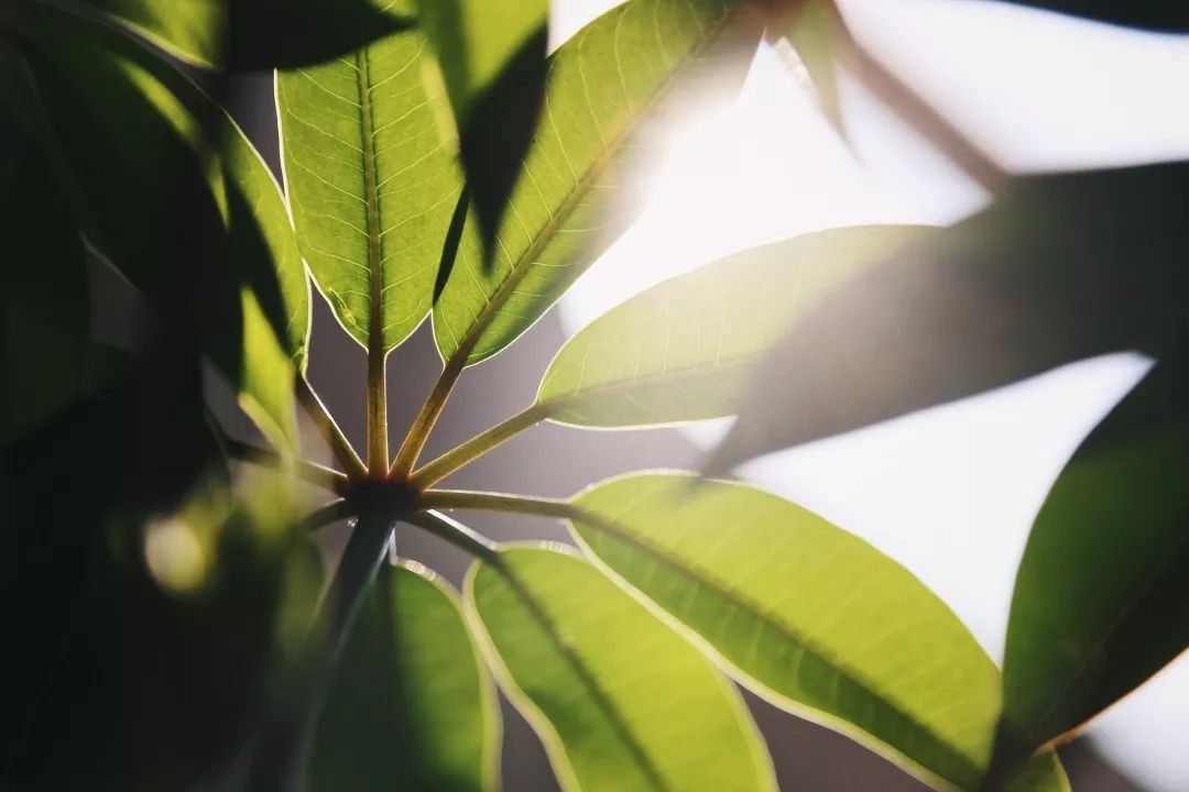 水电站值班,在水电站值班