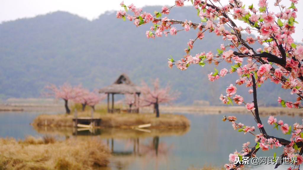 云南普者黑元阳坝美6天旅游攻略,云南建水普者黑旅游路线