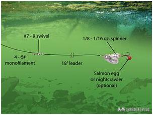 钓三文鱼视频野钓,三文鱼夏季淡水钓法