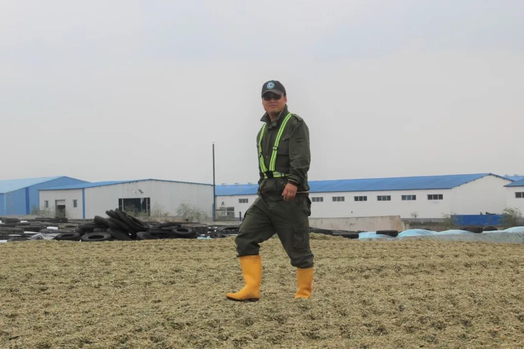 勃林格牛气学院首播|分享干奶期乳房炎管理秘诀