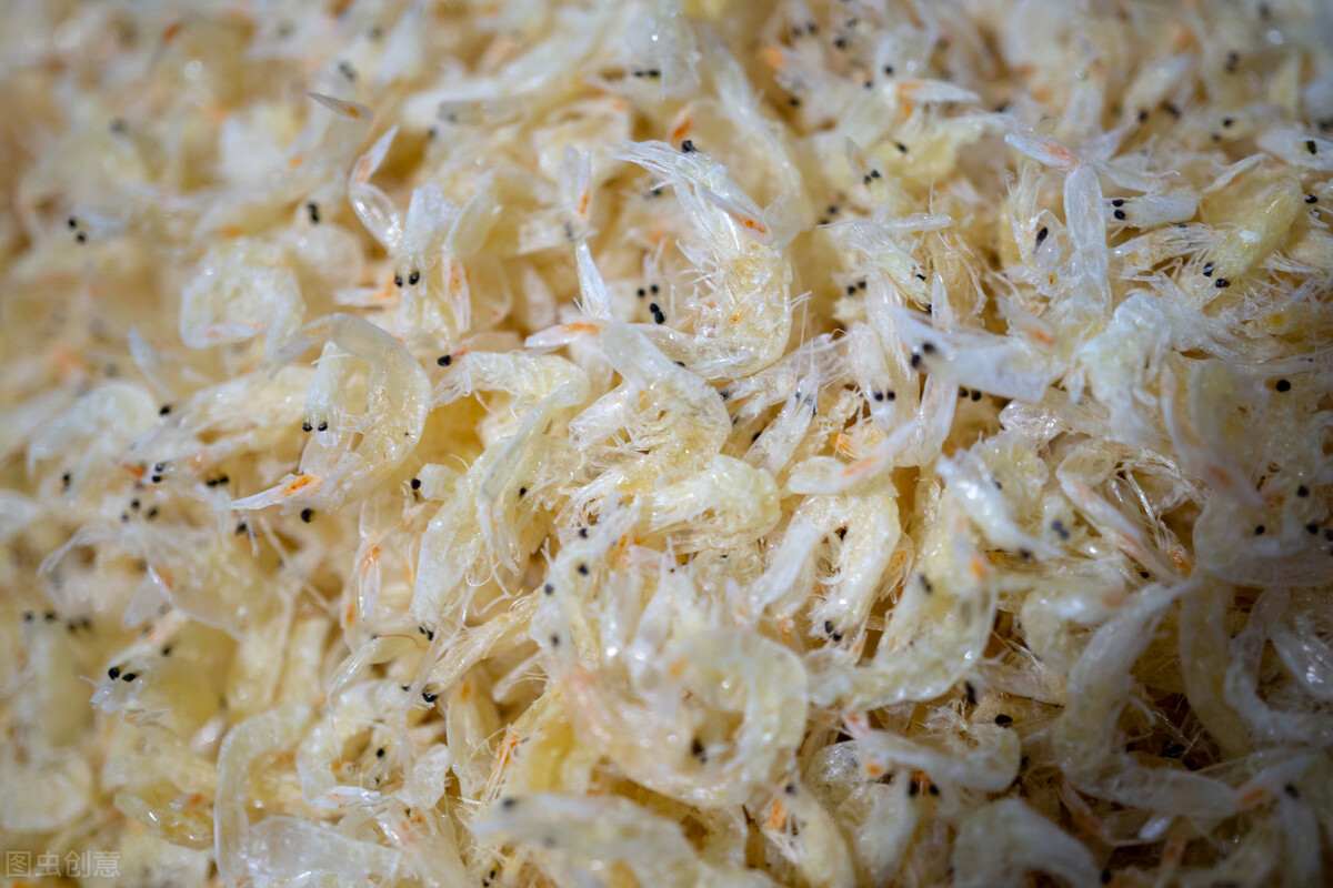 清明前后的海鲜,清明前有哪些海鲜当季