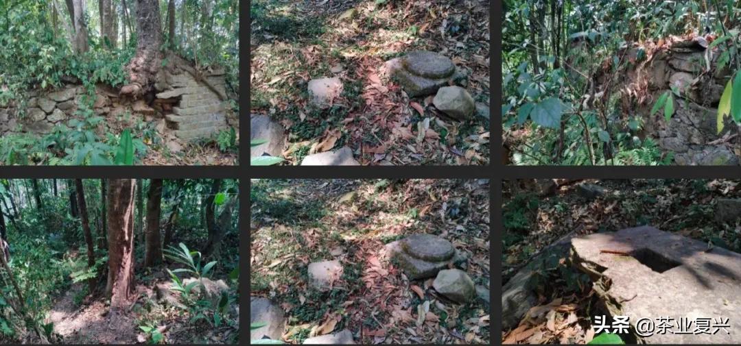 如果没有会喝易武茶的人，好茶的存在就没有意义