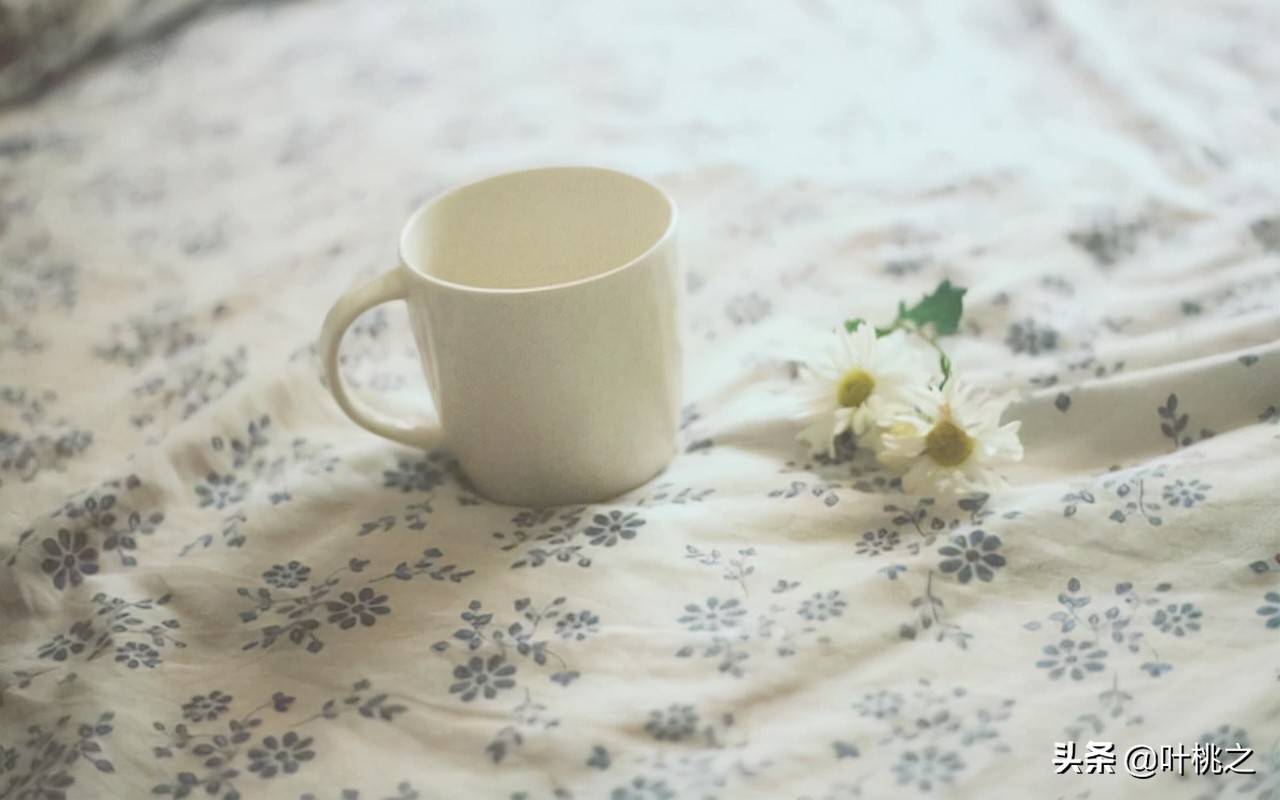 50岁人生才刚开始,真正的人生从50岁开始