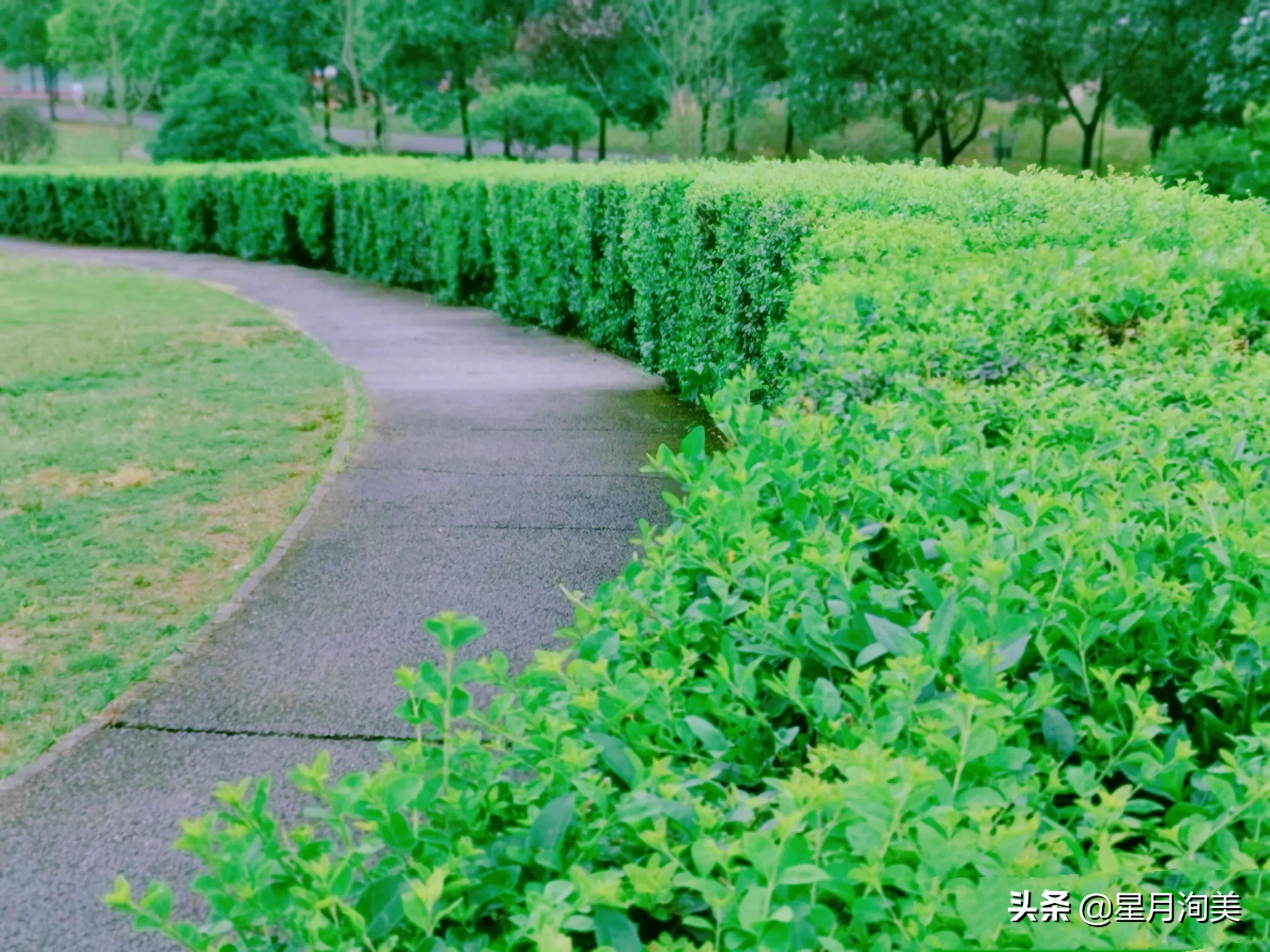 成都周边10个小众徒步地,成都小众旅游景点有哪些