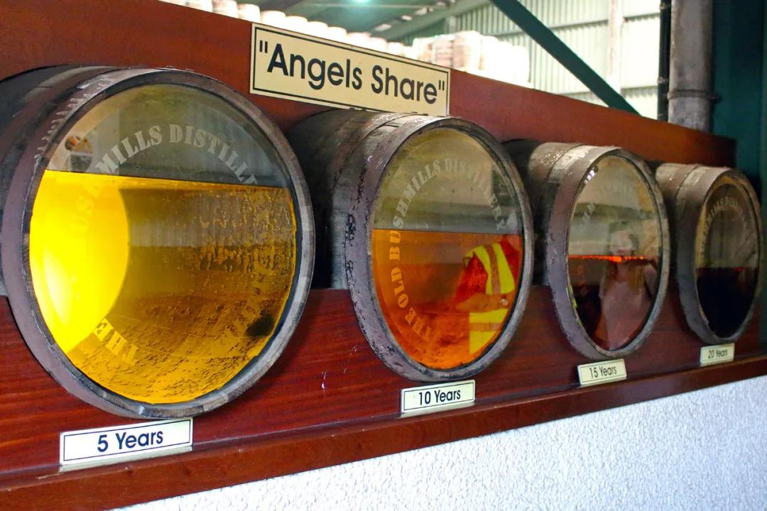 台湾威士忌怎么发展起来的,台湾后起之秀威士忌