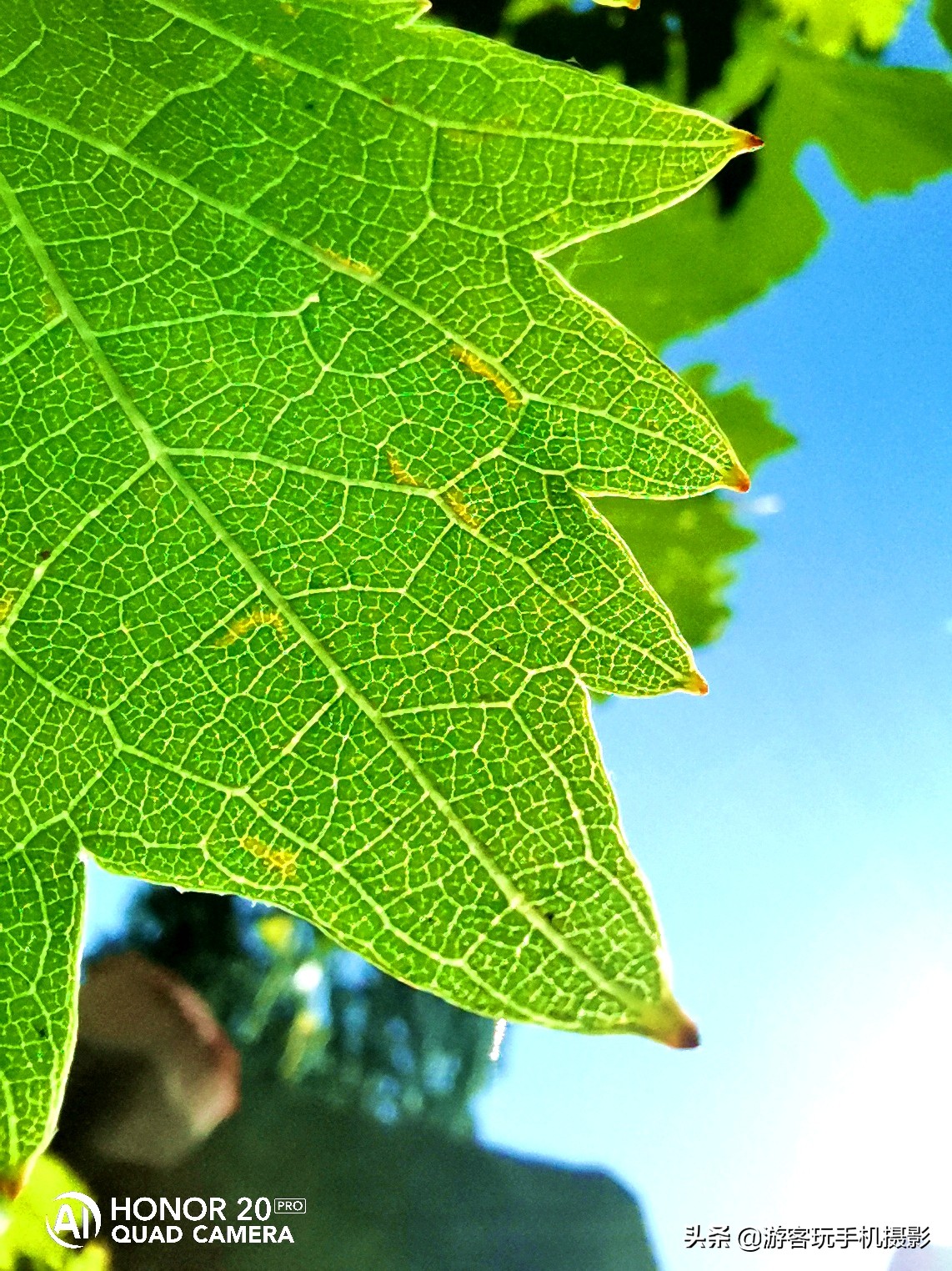 荣耀20Pro拍照效果,用荣耀20pro拍抖音