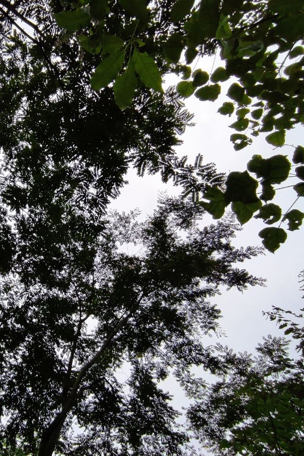 落墨似水流年,落寞的落墨