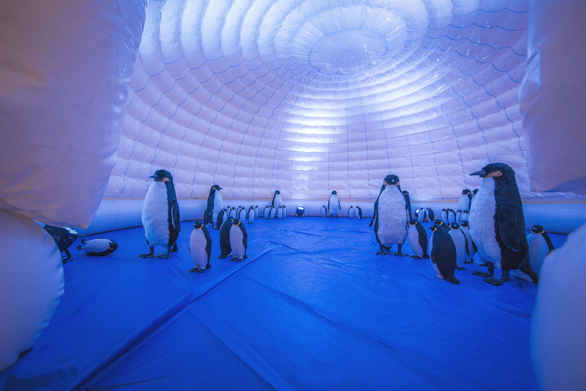 打工人买买买,槟城旅游购物必买清单