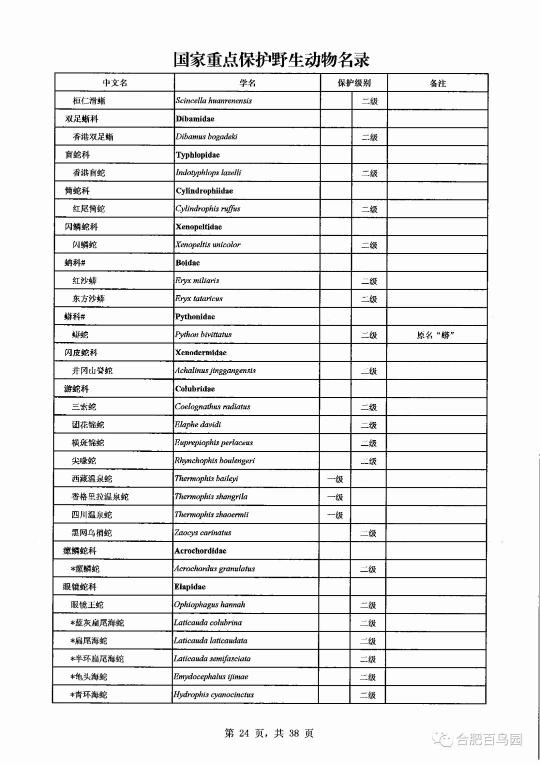 蛇如何升级为龙,可以升级的蛇