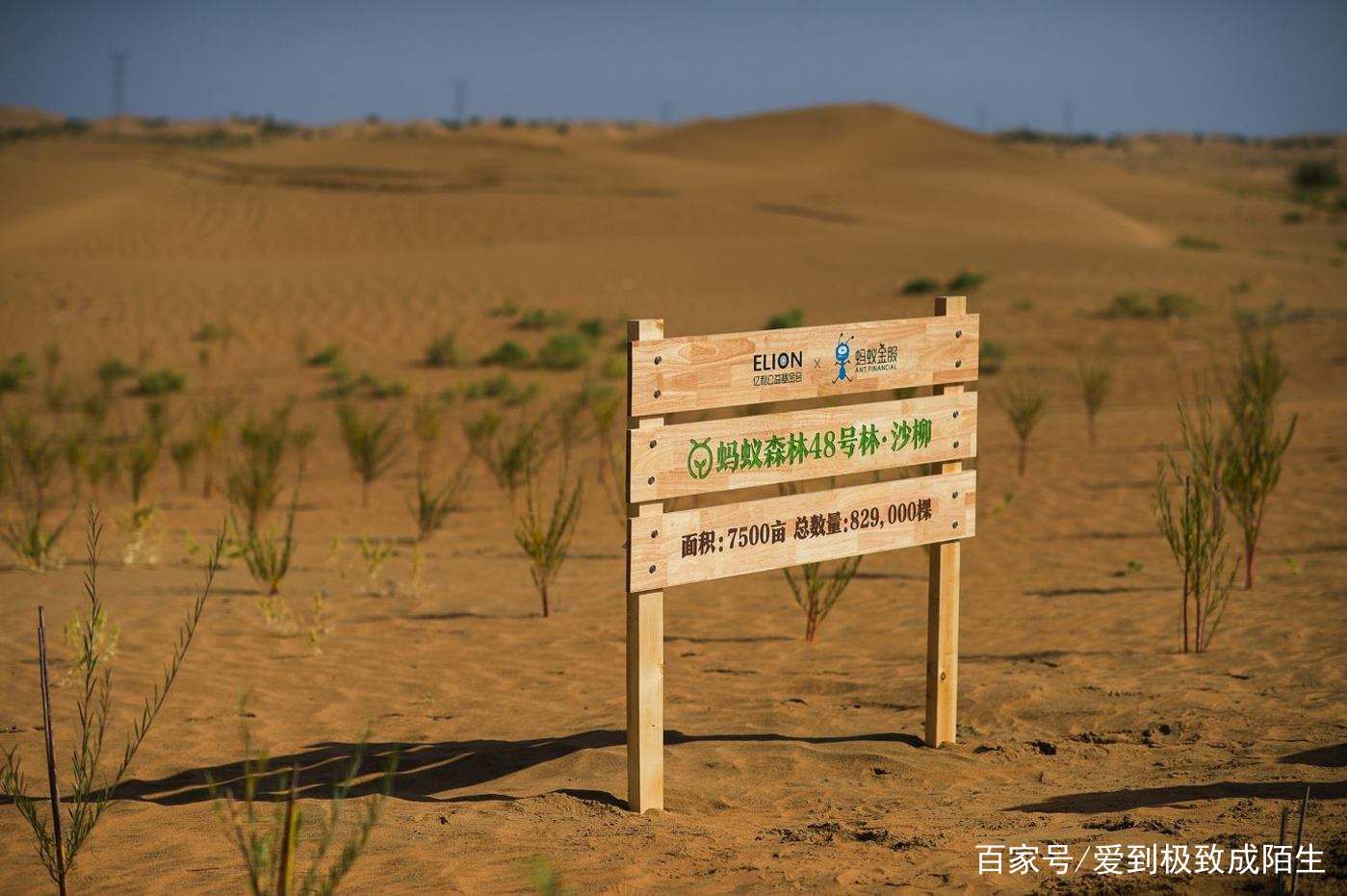 怎么防止支付宝蚂蚁森林能量被偷,支付宝蚂蚁森林偷能量有上限吗