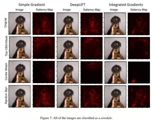 对于机器学习的理解,揭开大脑与教育的惊人真相