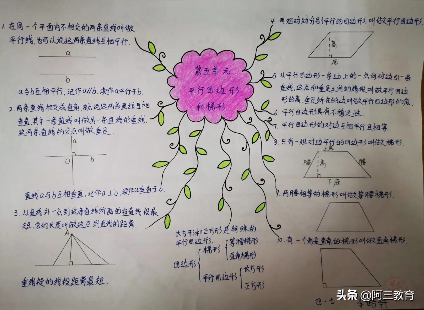 思维导图手工绘制,思维导图特别好看画法