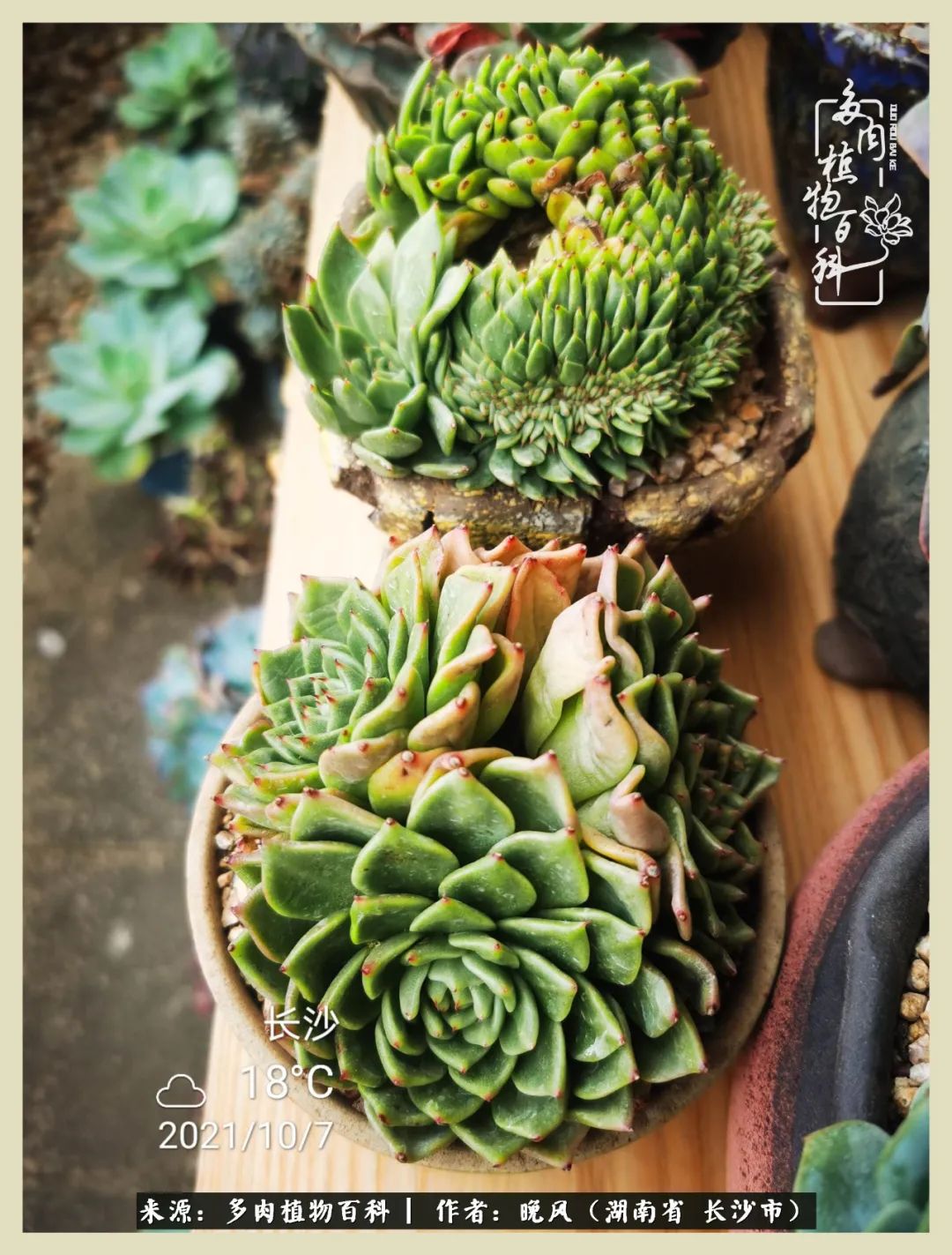 摇身一变成了奶爸,摇身一变成为打工人