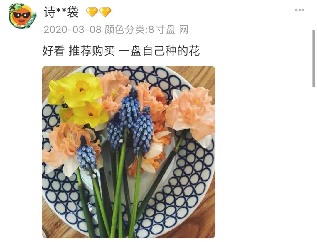 好看的餐具有没有必要,好看餐具套装