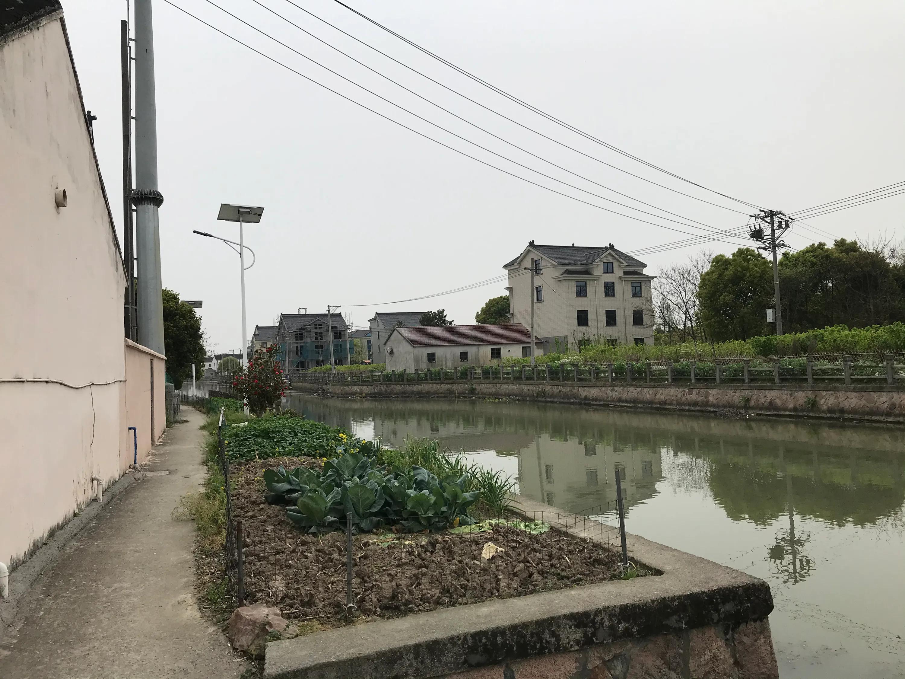 苏州吴江震泽八都,吴江区震泽八都贯桥社区