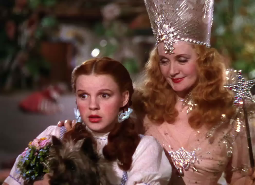 施华洛世奇花漾魔力寓意 (施华洛世奇的花样魔力)