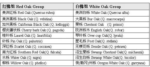 怎么区分白橡还是红橡,怎么区分红橡还是白橡