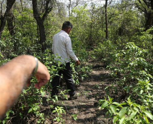 印度骇人听闻性侵案,印度19岁少女被性侵案件