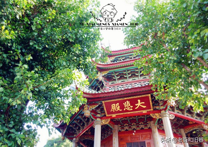 厦门四天纯玩,厦门玩4天