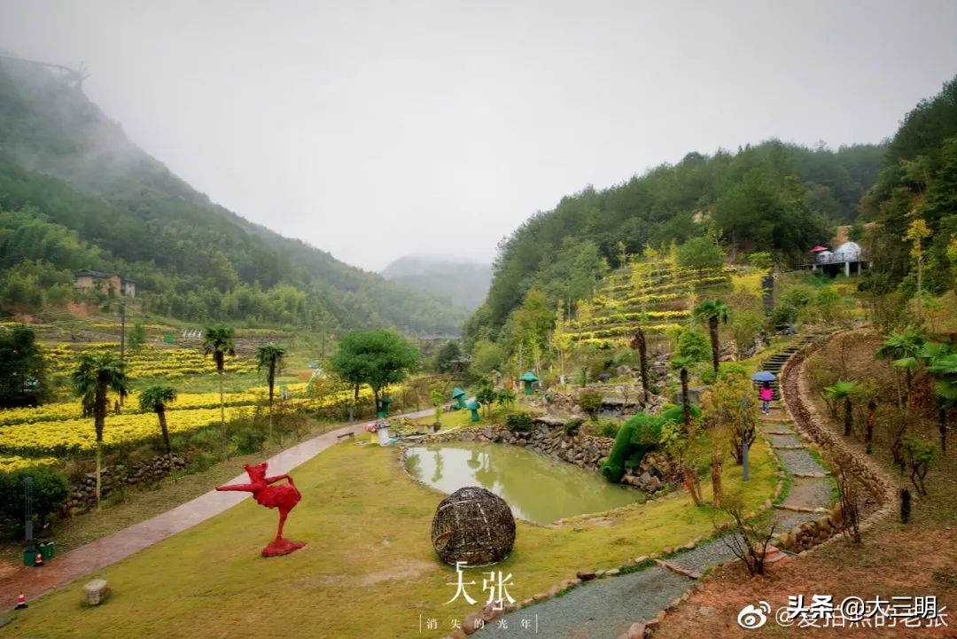 绿都最氧三明旅游攻略,2021中国绿都最氧三明四季行