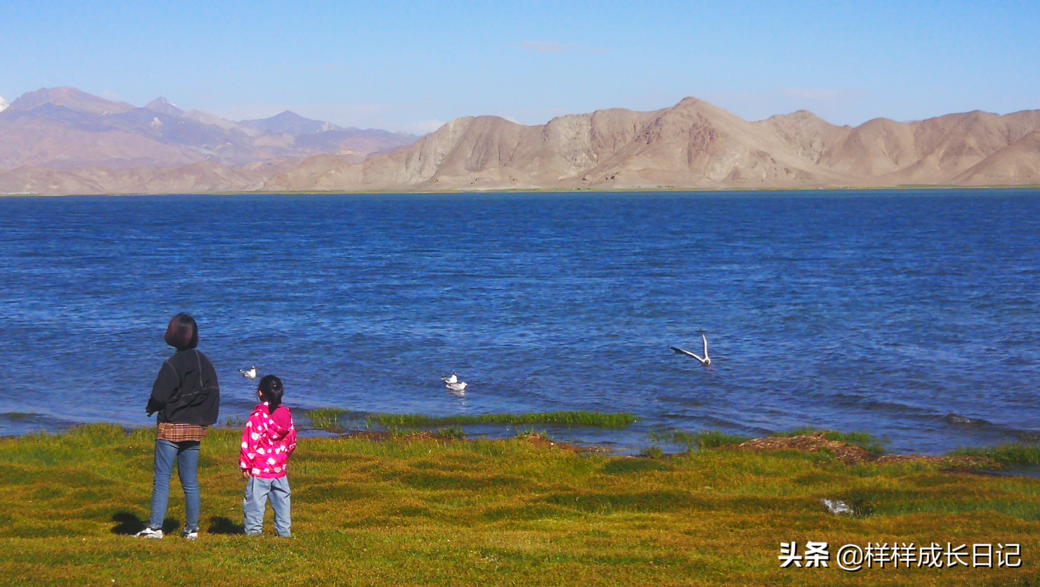 自驾西藏不下车会不会高反,自驾游无高反