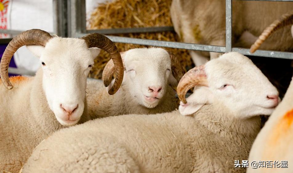 在农村开什么小厂投资小利润大,在农村开个什么小工厂赚钱