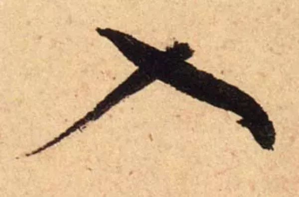 蔡襄脚气帖完整版,蔡襄脚气帖临写