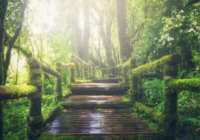 安徽庐江黄道中学张林俊：《乐仙集》诗词歌赋之七