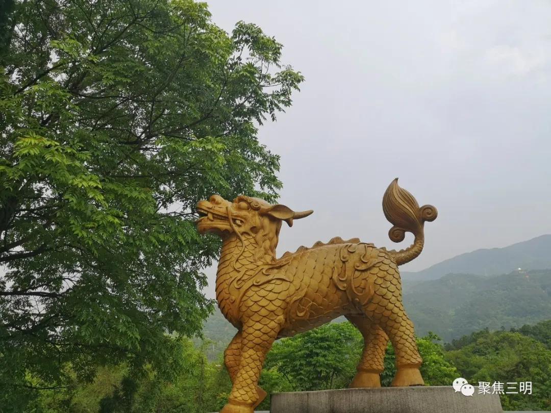 三明麒麟山改造,满意在三明宣传片