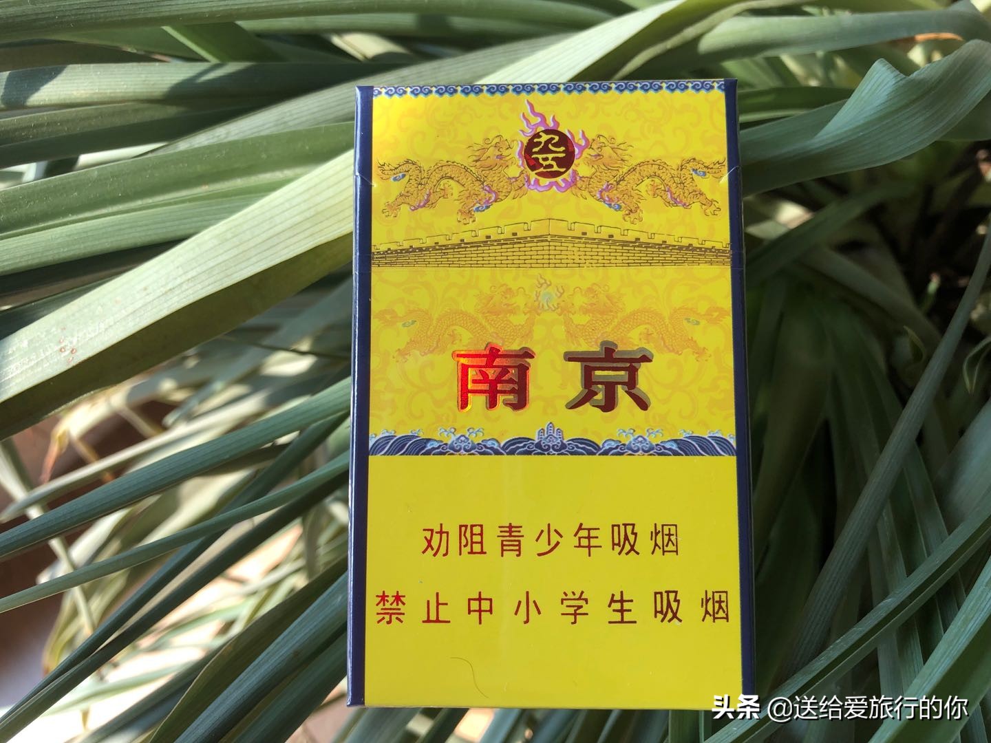 一支香烟飘在空中,一支烟去环游世界