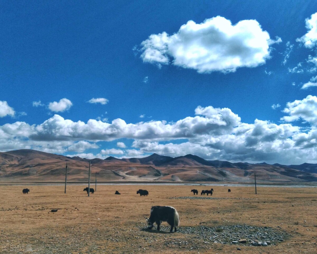 延长你的反射弧