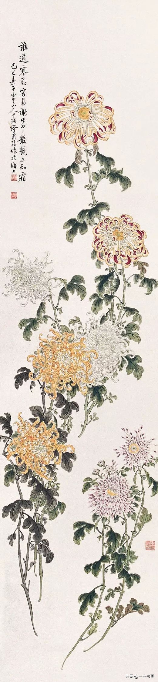 缪谷瑛菊花国画作品专辑,缪谷瑛菊花画法