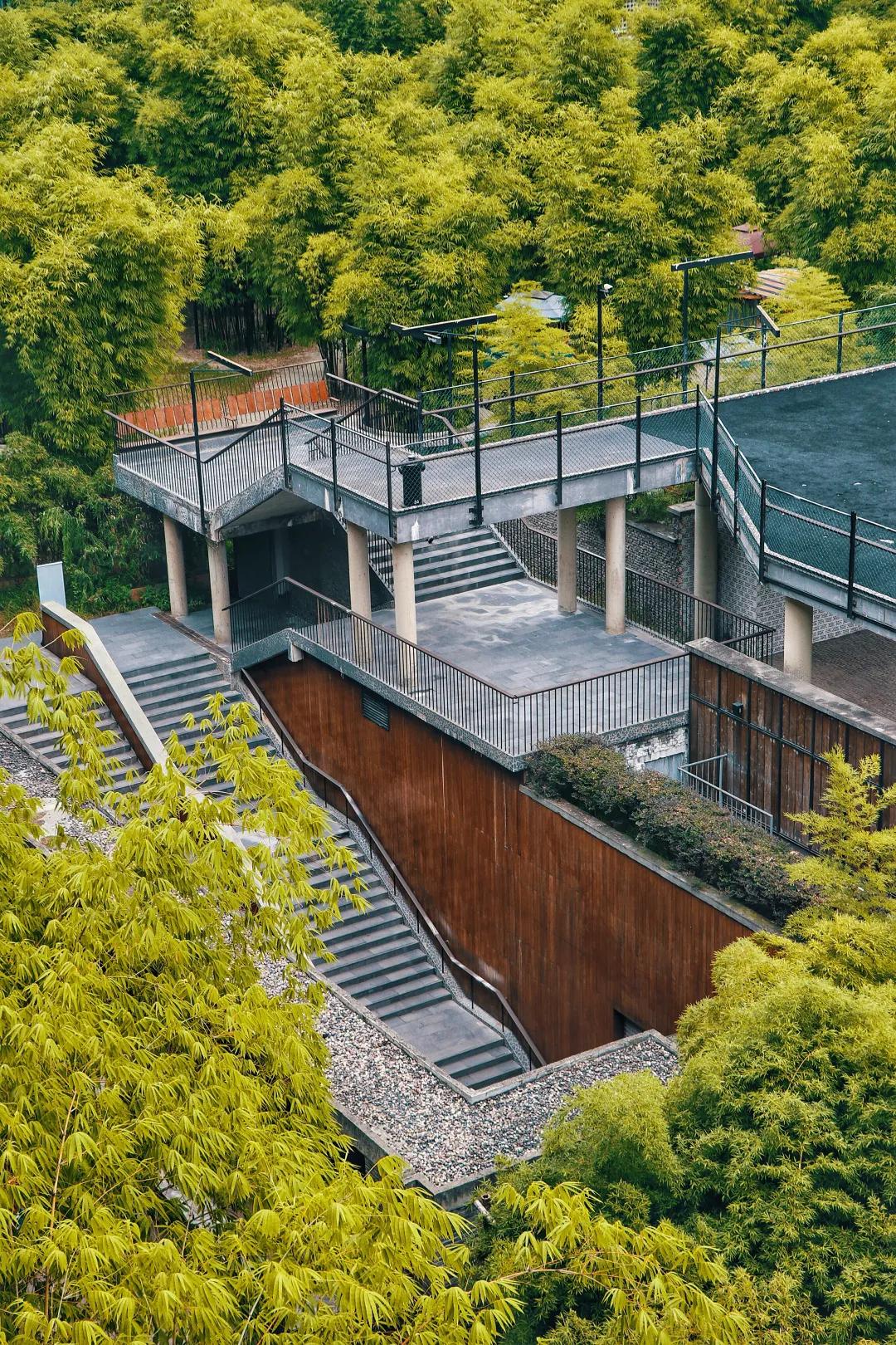 2020年脑洞大开的创业项目,成都脑洞大开