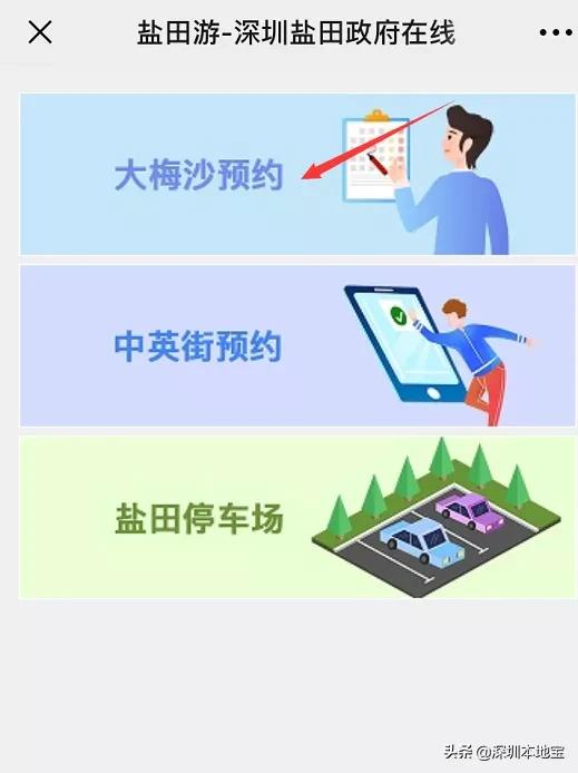 为什么大梅沙入园预约进不去,大梅沙每天限流多少人
