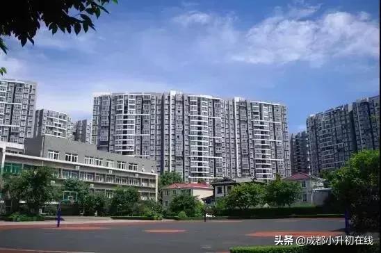 成都天府新区私立小学校一览表,2022成都私立小学招生数量